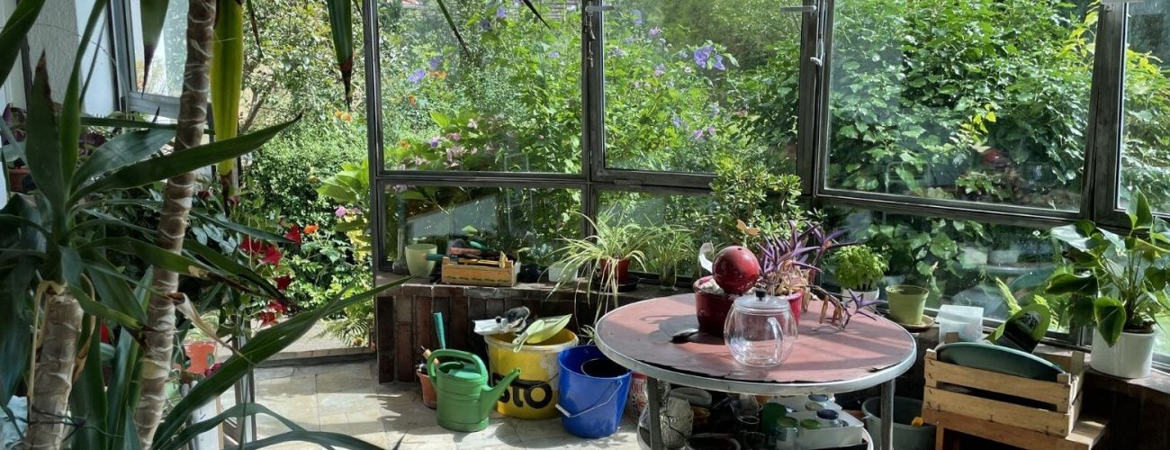 Wintergarten Idee bei einem Haus.