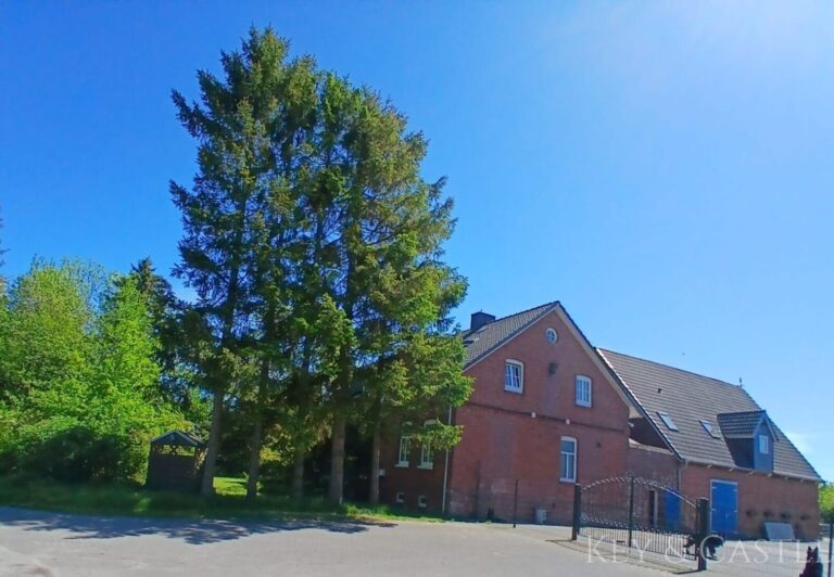 seitliche Ansicht auf das Haus und die Scheune