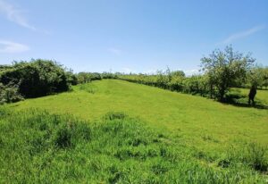 arrondiertes Weideland