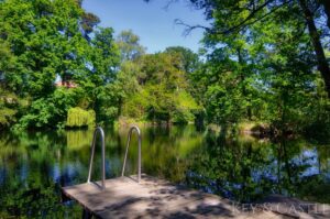 Grünoase mit einer idyllischen Wasserstelle