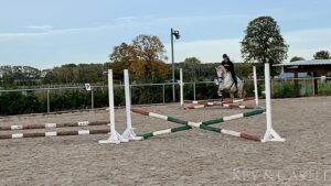 Dressurplatz mit Flutlicht (20 x 60m)