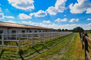 Paddockboxen (Stallgasse 2.)