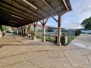 überdachter Anbindeplatz