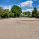 Dressurplatz (20mx 60m)