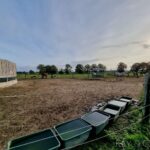 Paddocks seitlich des Roundpens